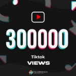Buy 300K TikTok Views Cheap